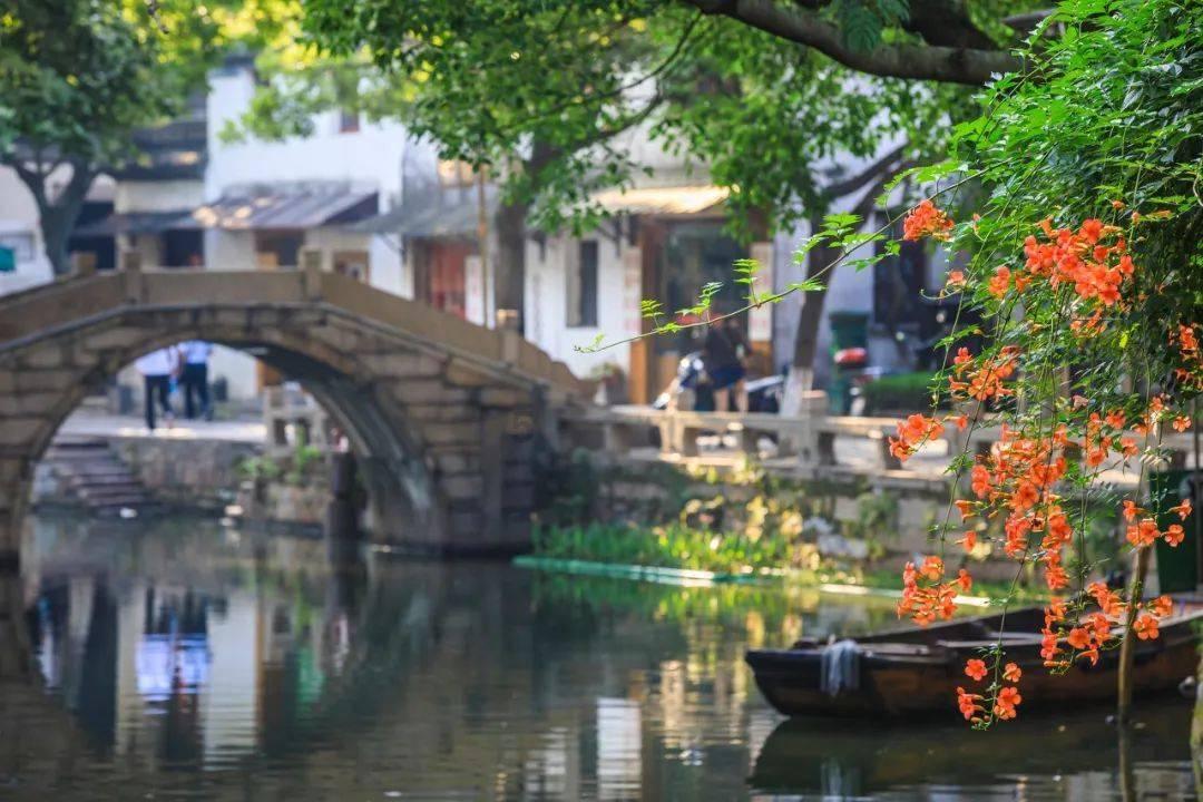 虫虫助手下载